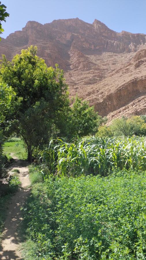 Riyad Dar Ahlam Aït Baha Exterior foto
